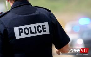 Un suspect de 18 ans arrêté pour introduction par effraction, agression armée et cruauté envers un animal